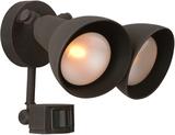 Industrial Motion Security & Flood Lights