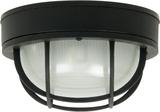 Industrial Outdoor Ceiling Lights